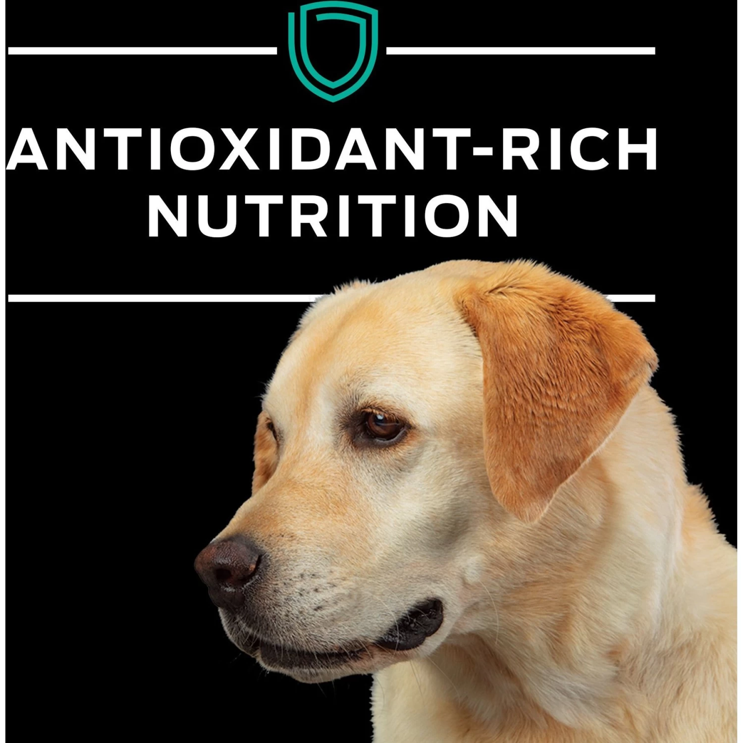 Purina Pro Plan Veterinary Diets EN Gastroenteric Dry Dog Food - Image 8