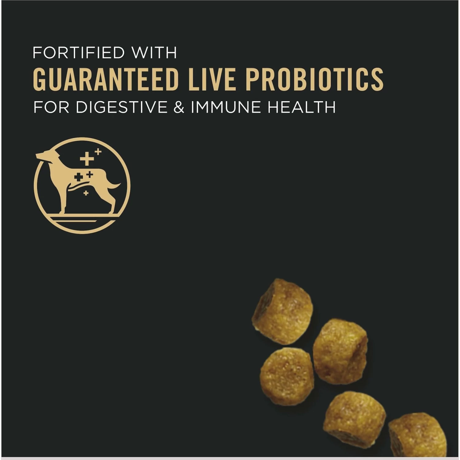 Purina Pro Plan Adult Toy Breed Chicken & Rice Formula Dry Dog Food - Image 3