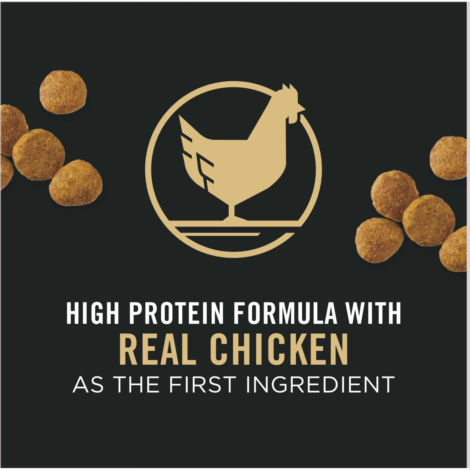 Purina Pro Plan High Protein Chicken & Rice Formula Dry Puppy Food - Image 3