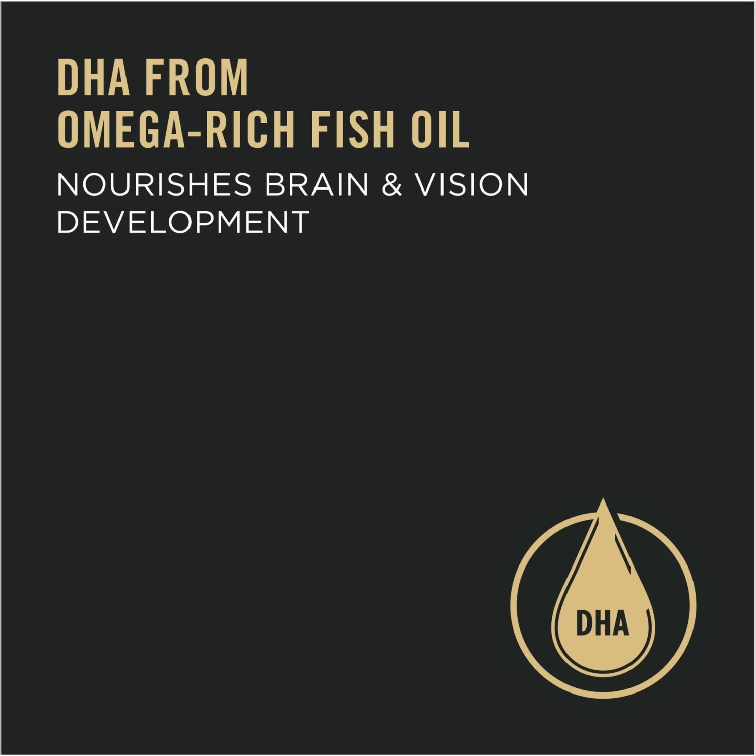 Purina Pro Plan High Protein Chicken & Rice Formula Dry Puppy Food - Image 4