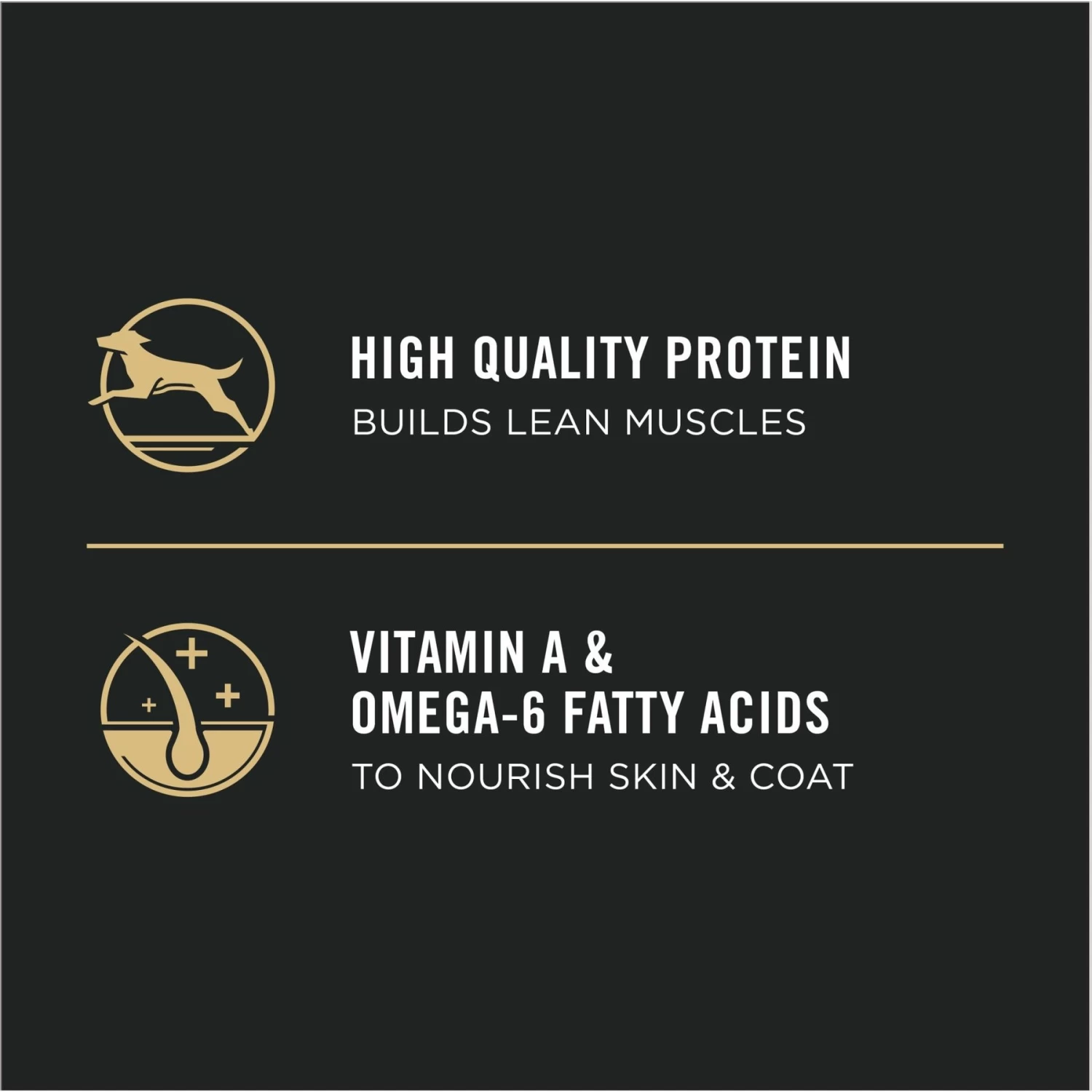 Purina Pro Plan High Protein Chicken & Rice Formula Dry Puppy Food - Image 7