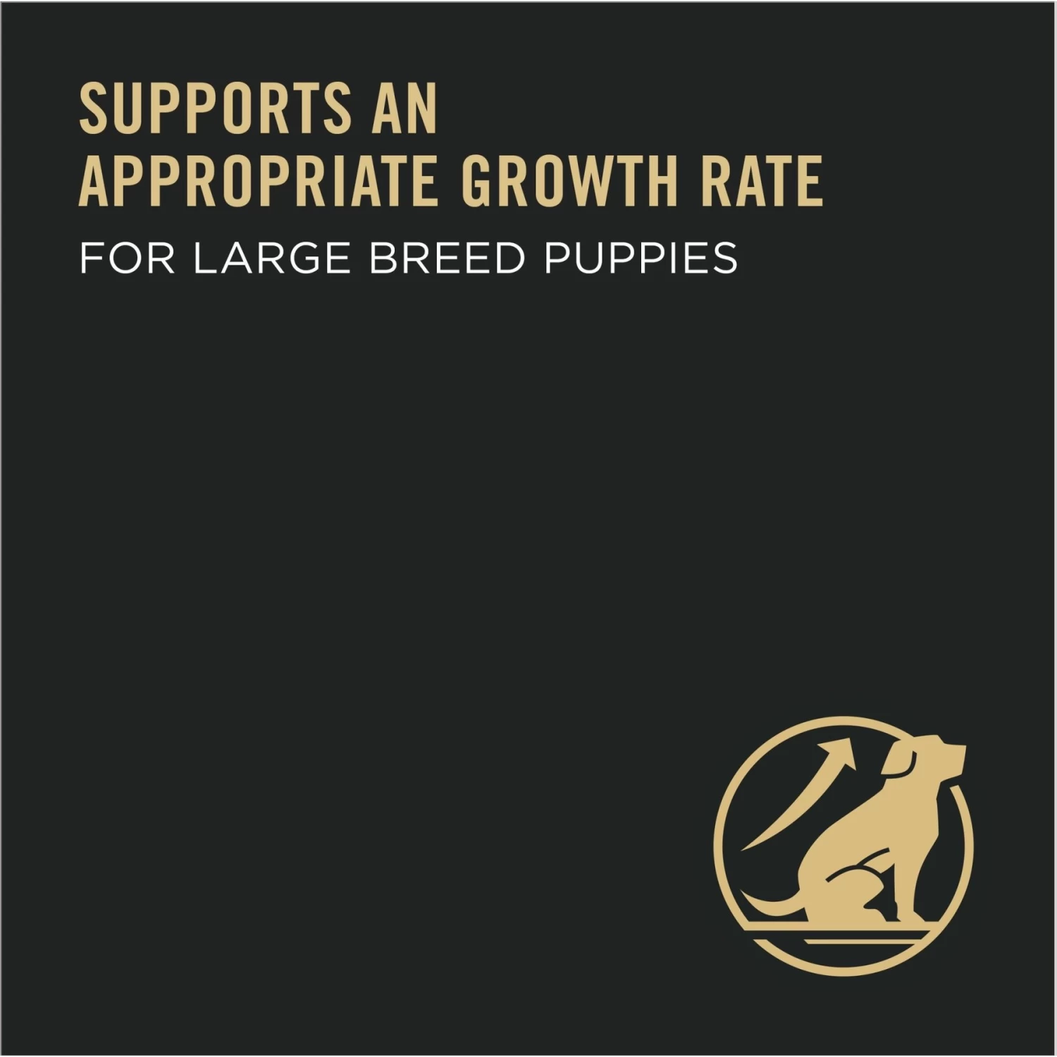 Purina Pro Plan High Protein Chicken & Rice Formula Large Breed Dry Puppy Food - Image 4