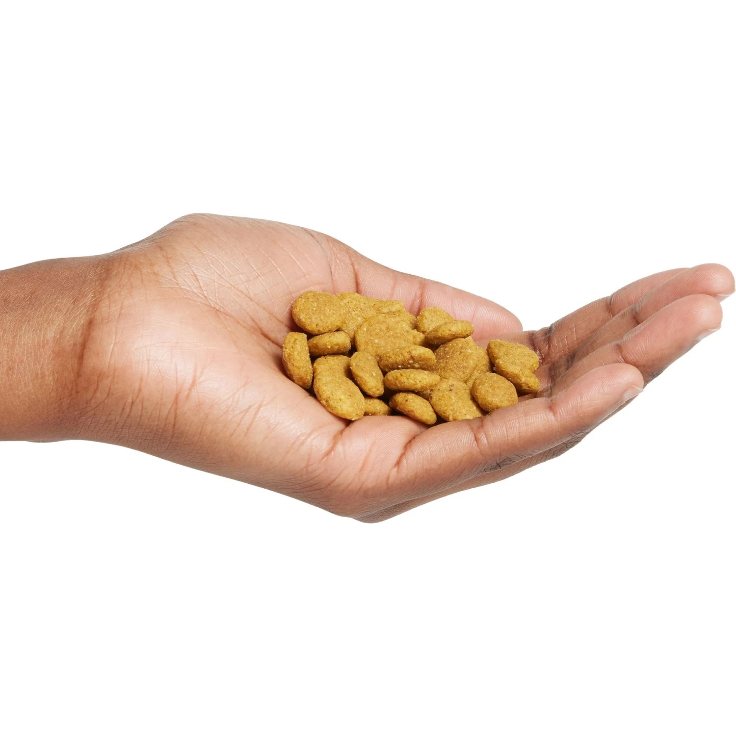 Purina Pro Plan High Protein Chicken & Rice Formula Large Breed Dry Puppy Food - Image 5