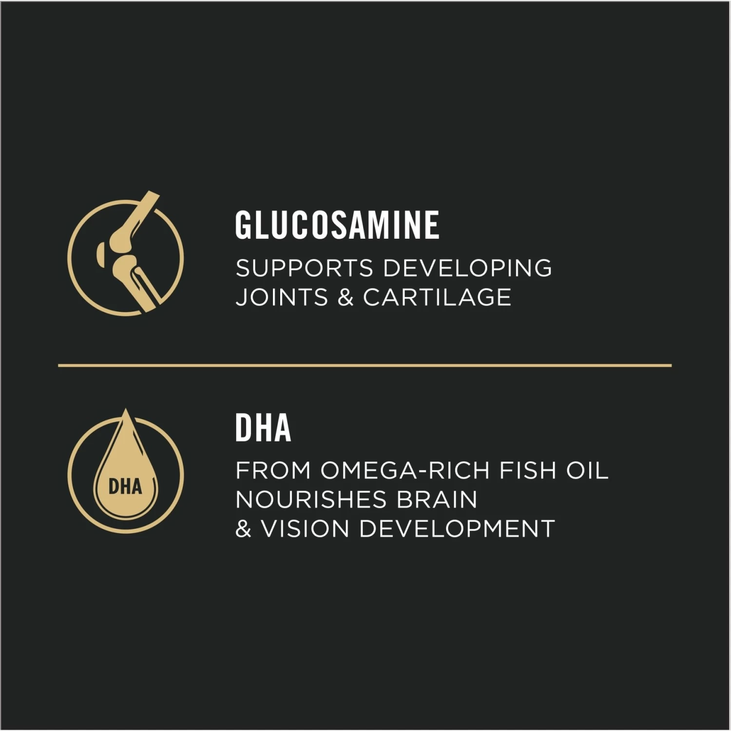 Purina Pro Plan High Protein Chicken & Rice Formula Large Breed Dry Puppy Food - Image 7