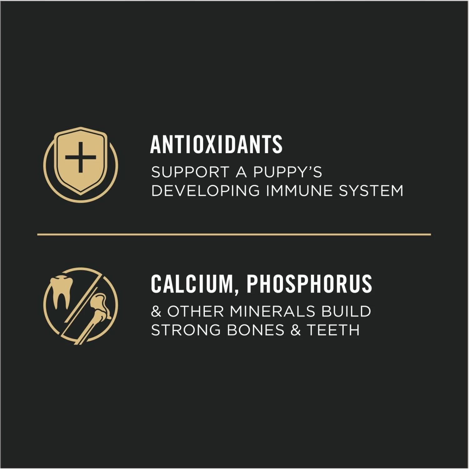 Purina Pro Plan High Protein Chicken & Rice Formula Large Breed Dry Puppy Food - Image 8