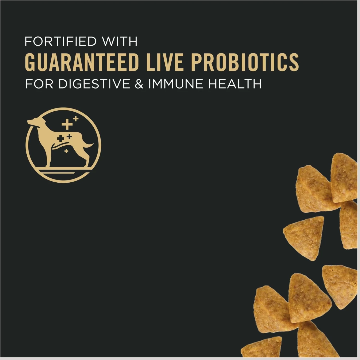 Purina Pro Plan Puppy Small Breed Chicken & Rice Formula Dry Dog Food - Image 3