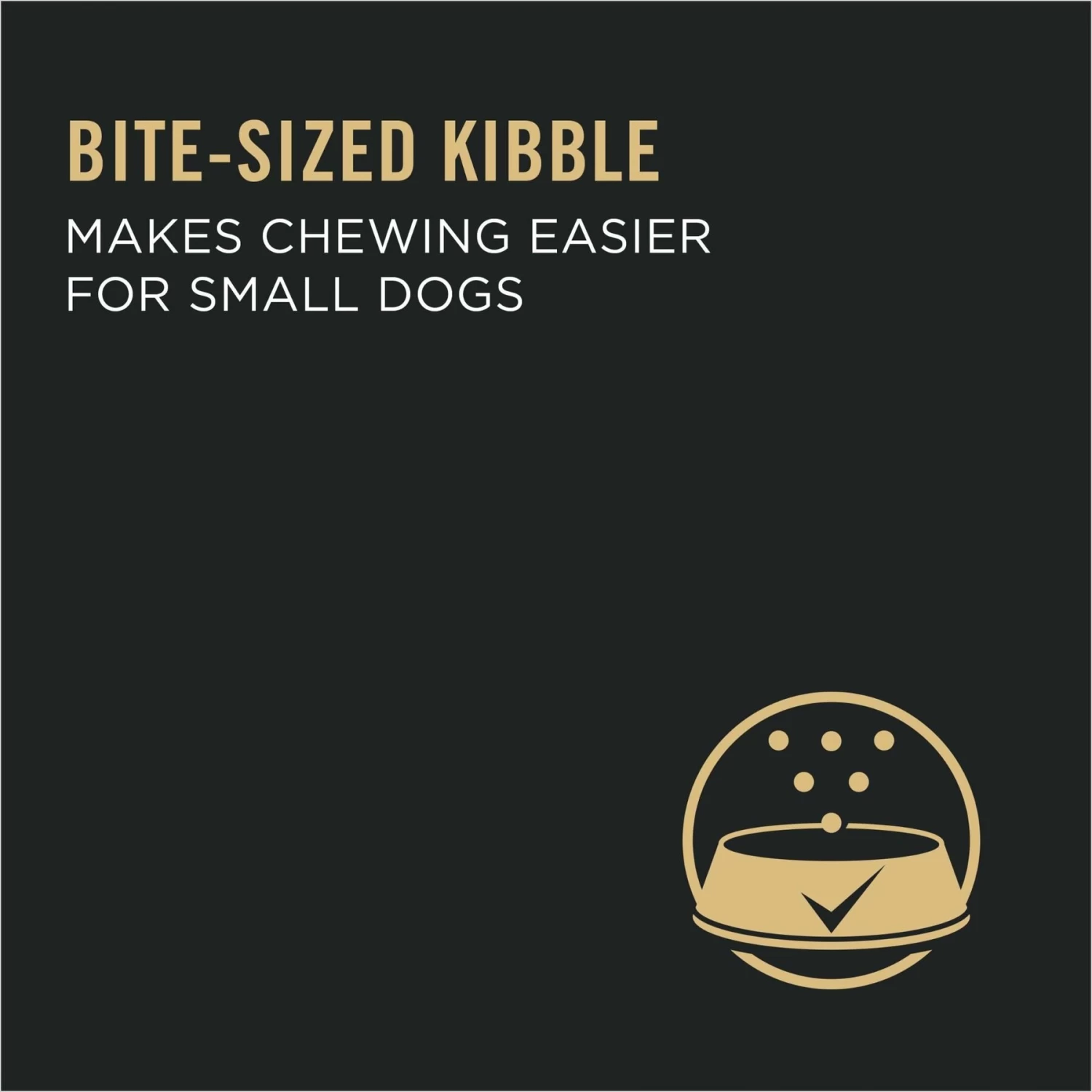 Purina Pro Plan Puppy Small Breed Chicken & Rice Formula Dry Dog Food - Image 8