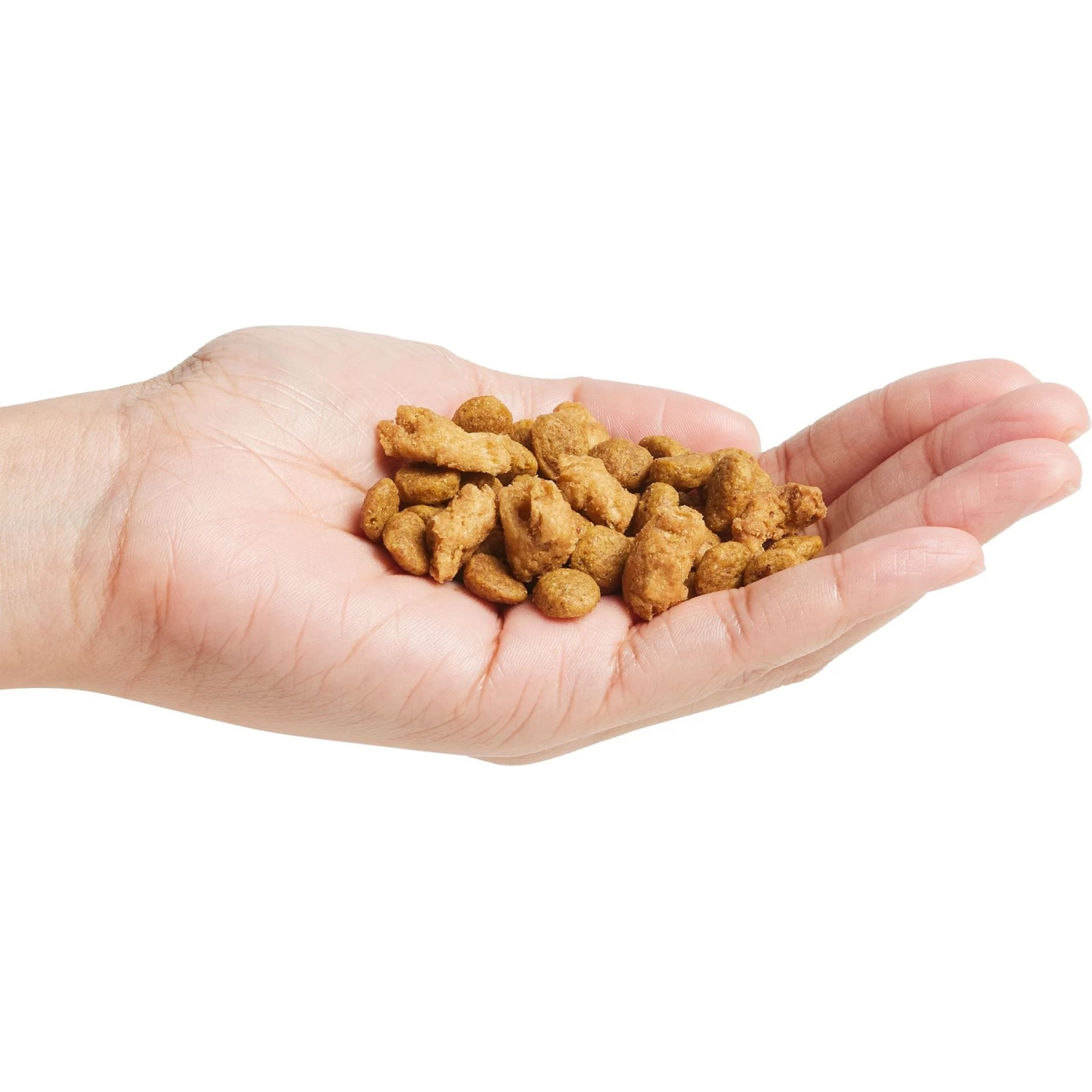 Purina Pro Plan Puppy Shredded Blend Chicken & Rice Formula With Probiotics Dry Dog Food - Image 5