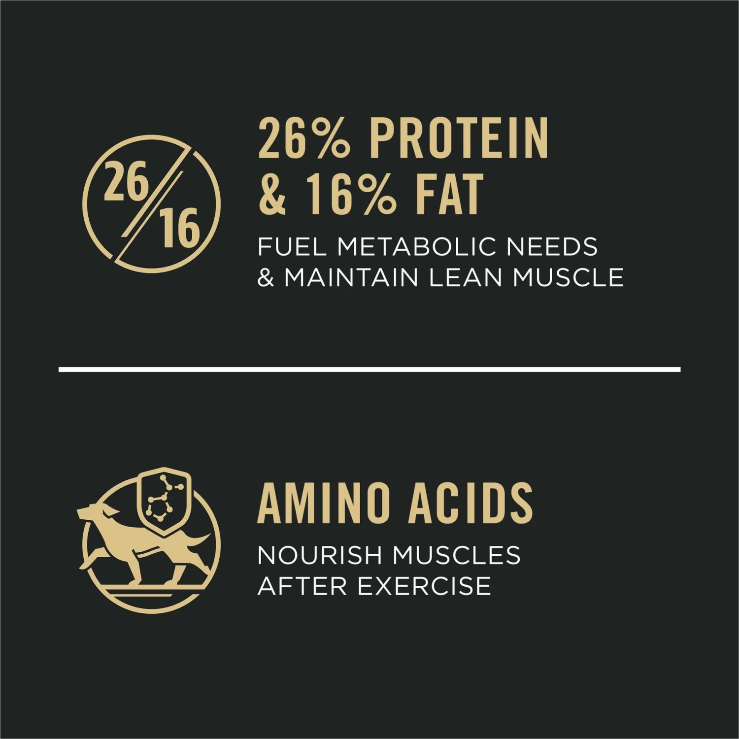 Purina Pro Plan Sport All Life Stages High-Protein Active 26/16 Formula Dry Dog Food - Image 2