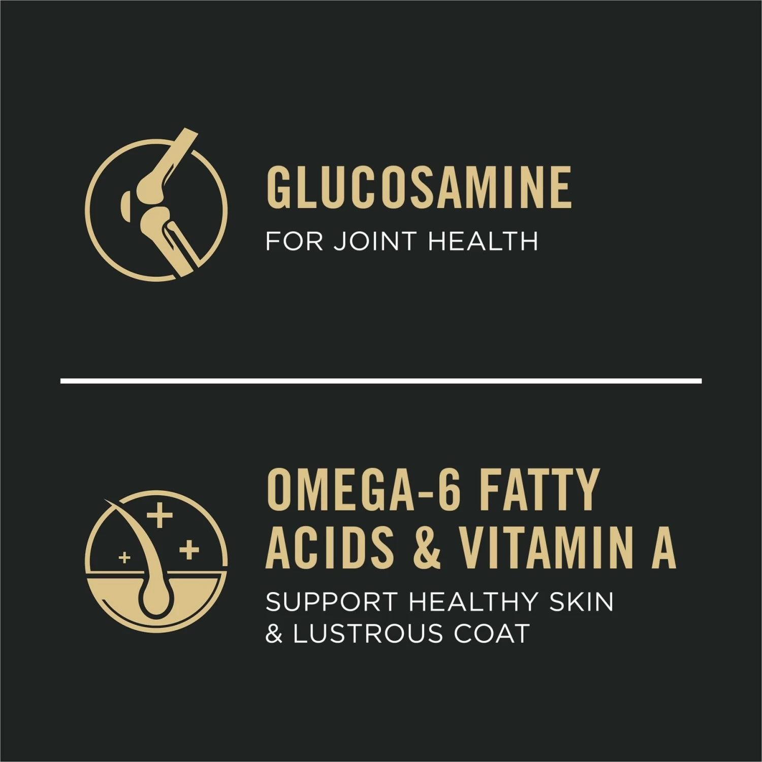 Purina Pro Plan Sport All Life Stages High-Protein Active 26/16 Formula Dry Dog Food - Image 4