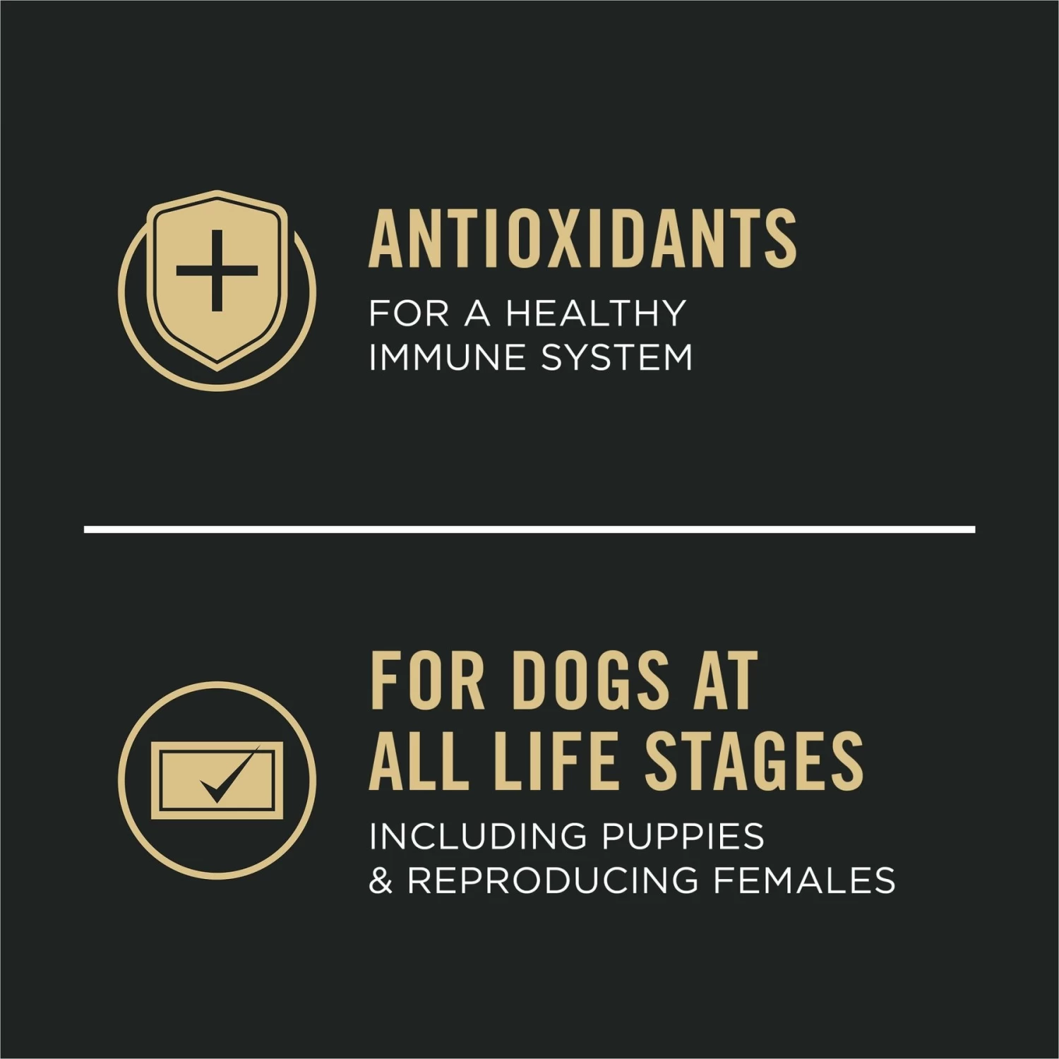 Purina Pro Plan Sport All Life Stages High-Protein Active 26/16 Formula Dry Dog Food - Image 6