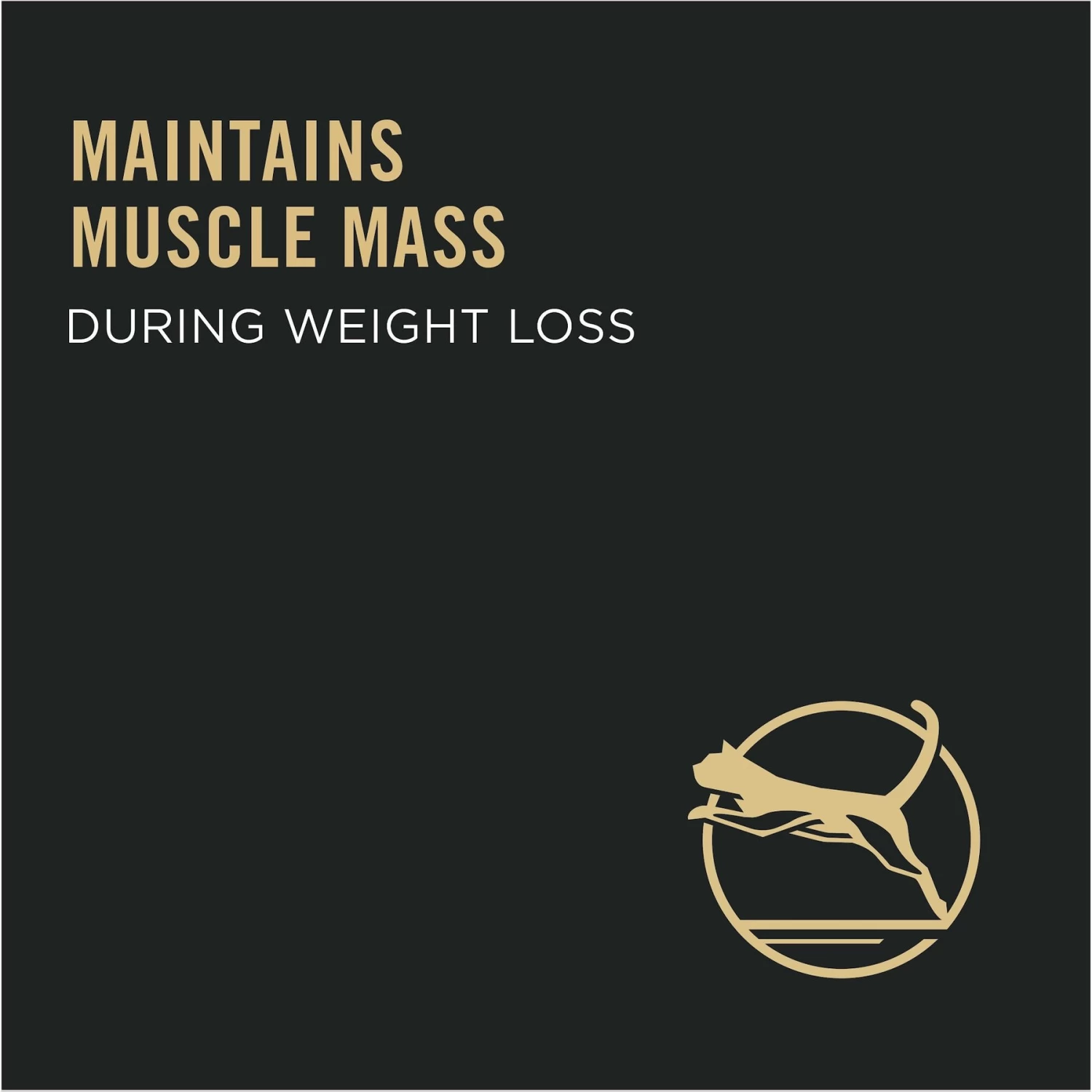 Purina Pro Plan Adult Weight Management Chicken & Rice Formula Dry Cat Food - Image 4