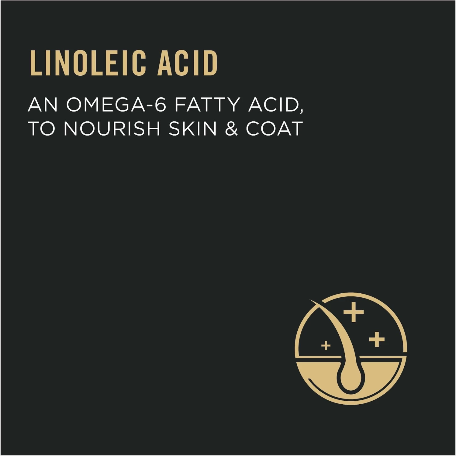 Purina Pro Plan Focus Adult Urinary Tract Health Formula Dry Cat Food - Image 6