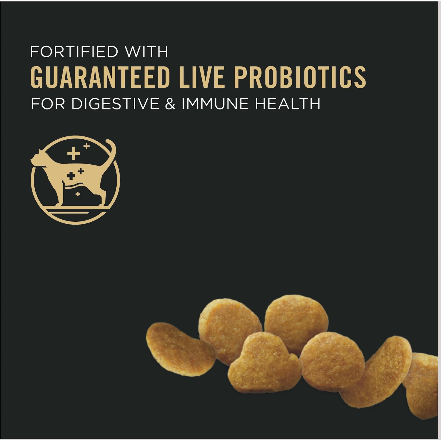 Purina Pro Plan Kitten Chicken & Rice Formula Dry Cat Food - Image 3