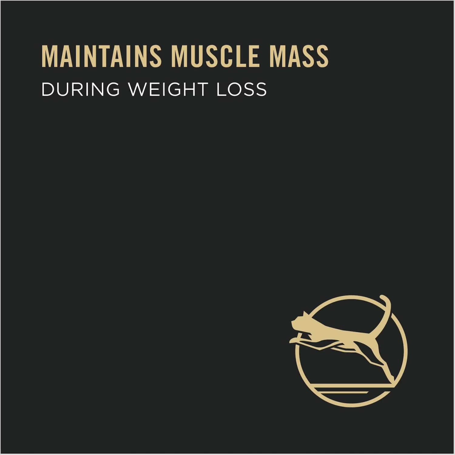 Purina Pro Plan Focus Adult Weight Management Ground Turkey & Rice Entree Canned Cat Food - Image 3