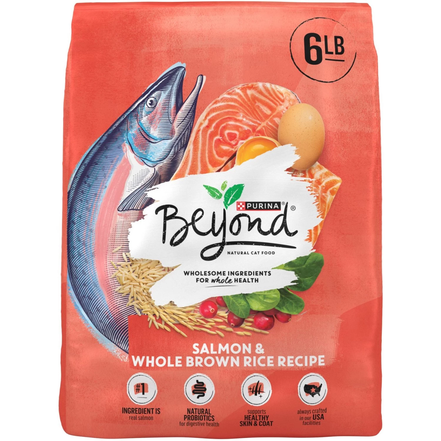 Purina Beyond Simply Salmon & Whole Brown Rice Recipe Dry Cat Food