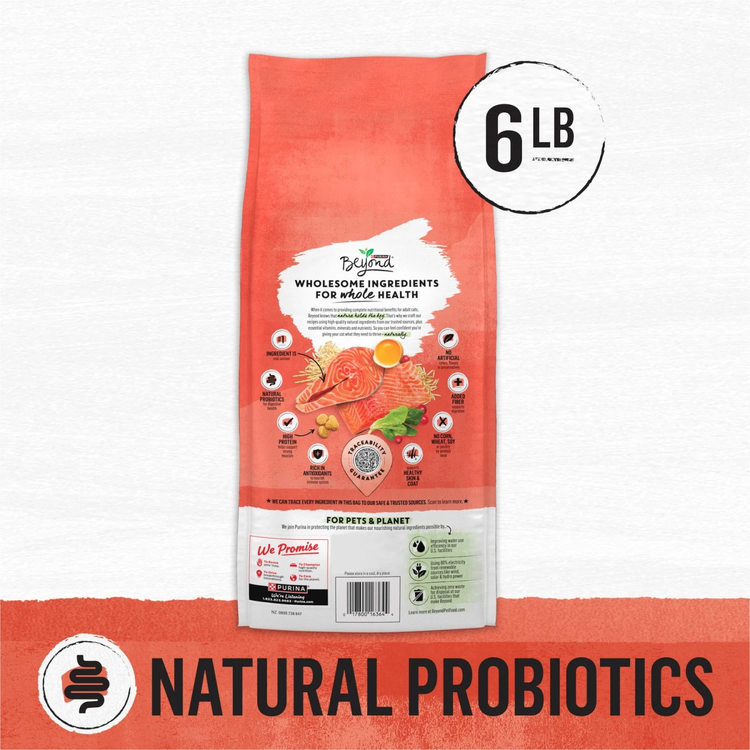 Purina Beyond Simply Salmon & Whole Brown Rice Recipe Dry Cat Food - Image 2