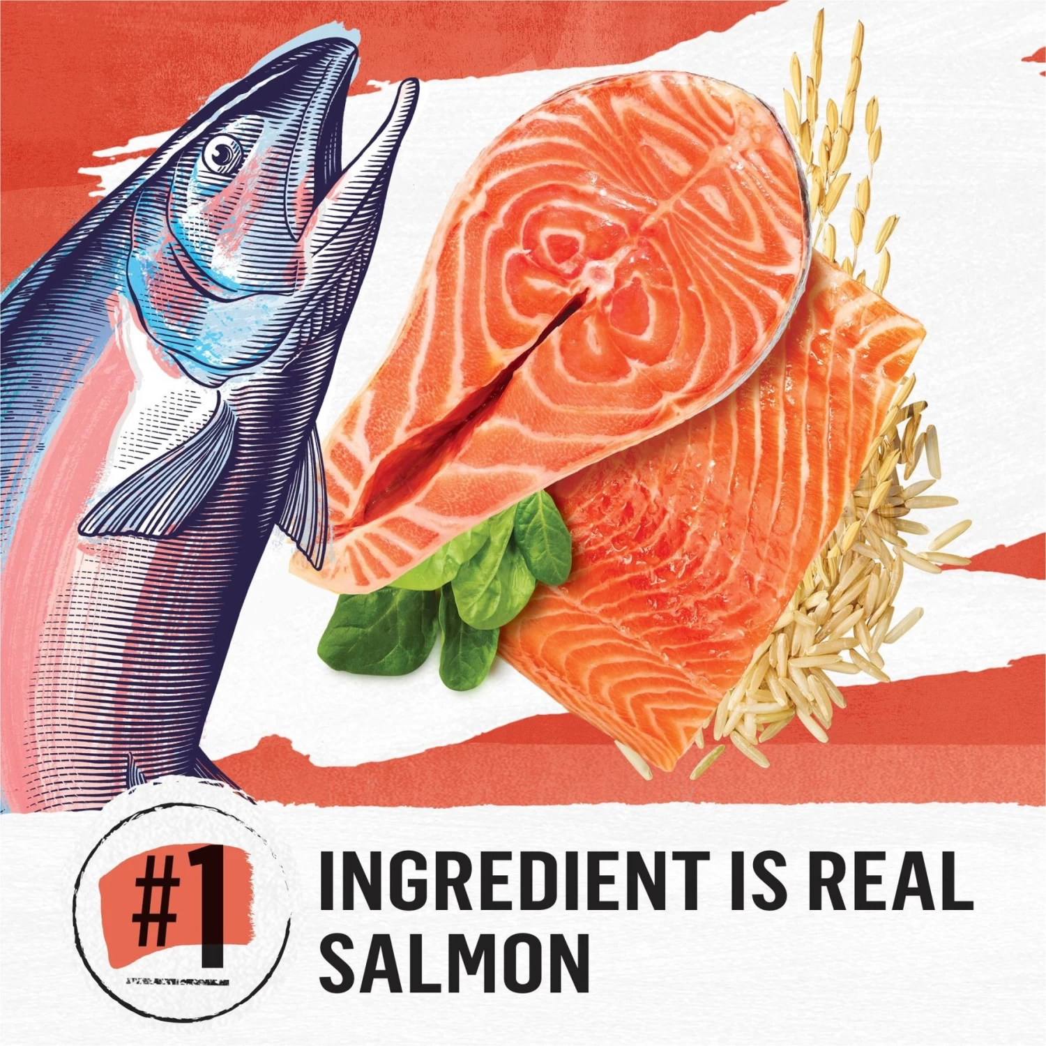 Purina Beyond Simply Salmon & Whole Brown Rice Recipe Dry Cat Food - Image 3