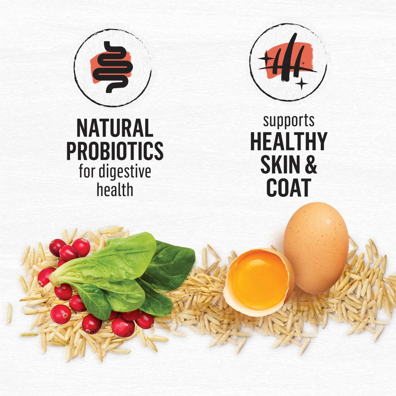 Purina Beyond Simply Salmon & Whole Brown Rice Recipe Dry Cat Food - Image 5