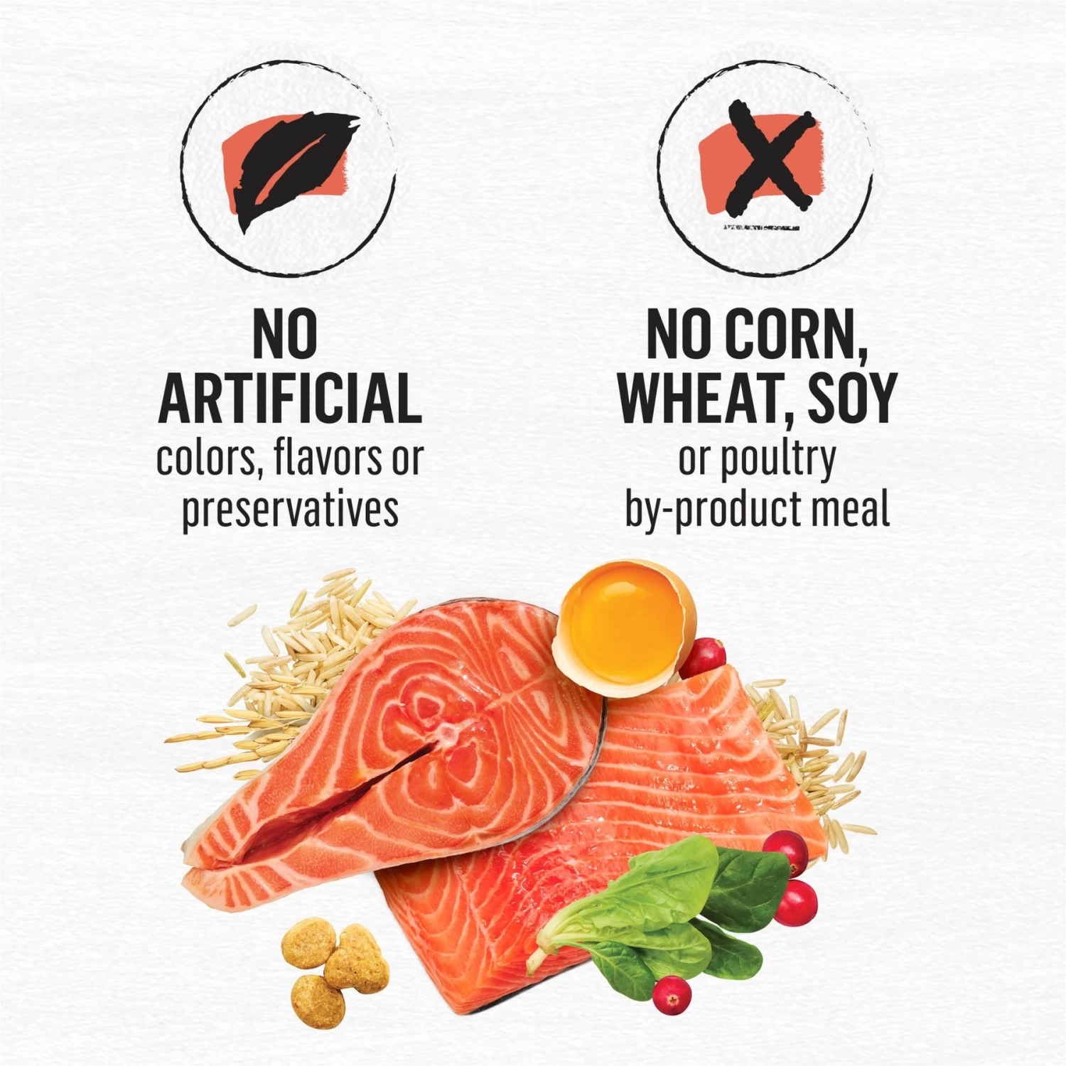 Purina Beyond Simply Salmon & Whole Brown Rice Recipe Dry Cat Food - Image 9