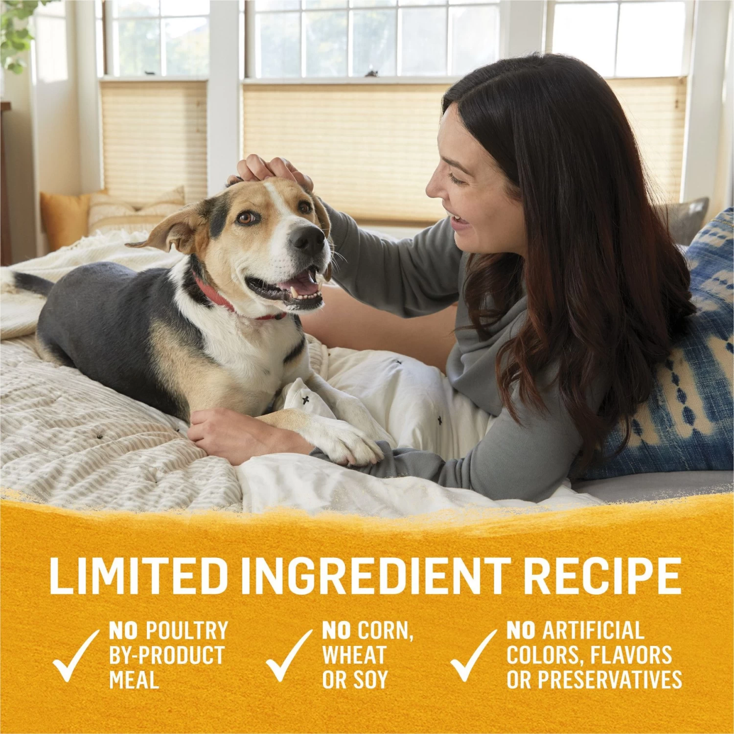 Purina Beyond Chicken, Carrot & Pea Recipe Ground Entrée Grain-Free Canned Dog Food - Image 6