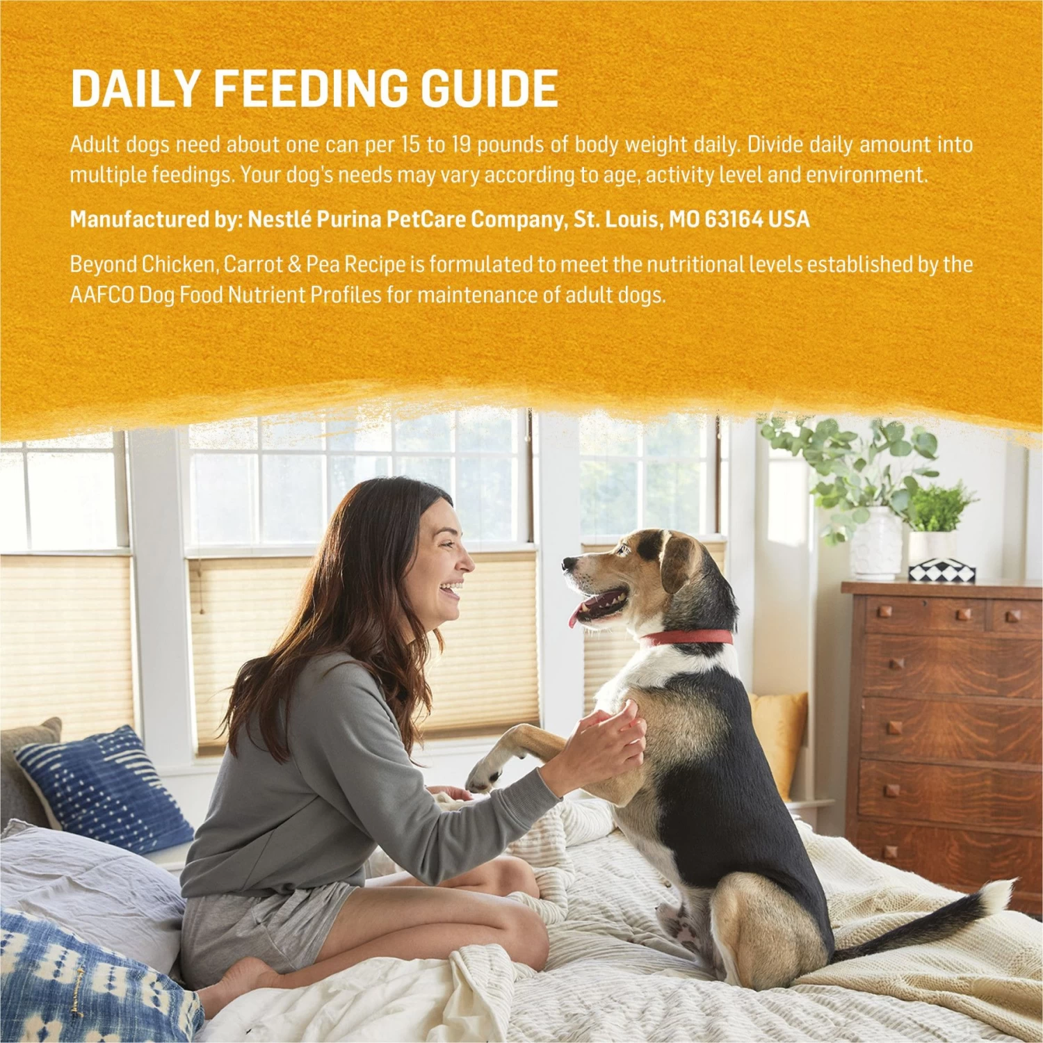 Purina Beyond Chicken, Carrot & Pea Recipe Ground Entrée Grain-Free Canned Dog Food - Image 8