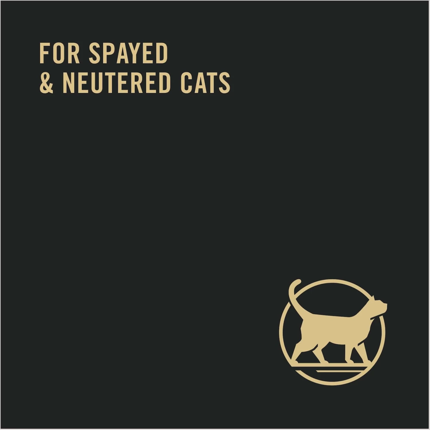 Purina Pro Plan Focus Healthy Metabolism Formula Chicken Entrée In Gravy Adult Canned Cat Food - Image 3