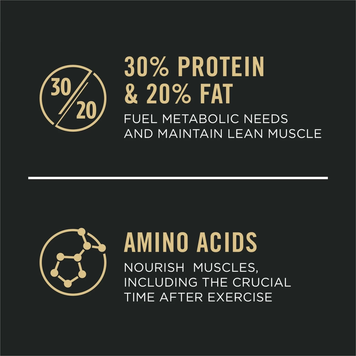 Purina Pro Plan Sport Performance All Life Stages High-Protein 30/20 Salmon & Rice Formula Dry Dog Food - Image 3