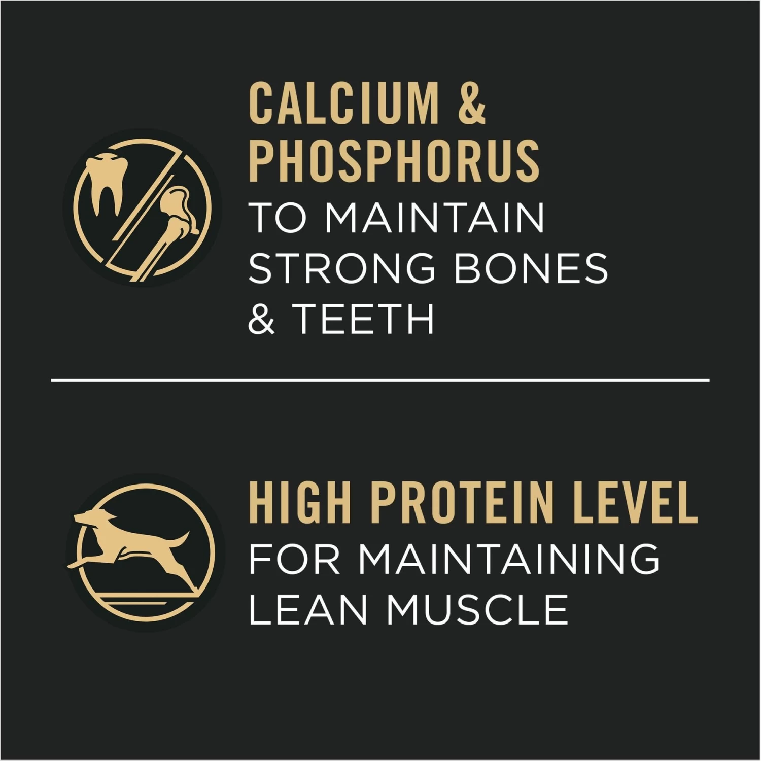 Purina Pro Plan Specialized Variety Pack Adult Large Breed High Protein Chicken & Rice, Beef & Rice In Gravy Wet Dog Food, 13-oz Can, Case Of 12 - Image 4