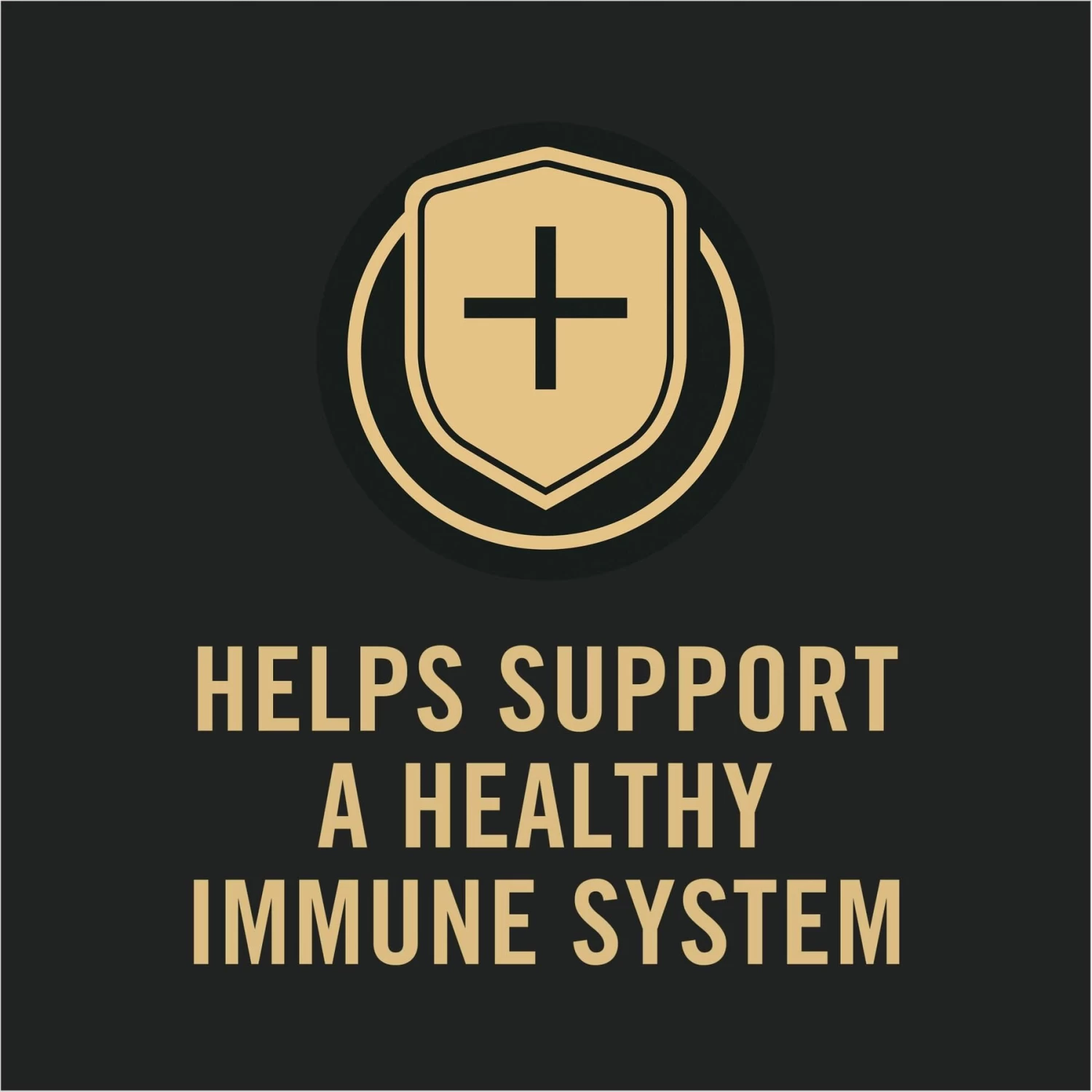 Purina Pro Plan Specialized Variety Pack Adult Large Breed High Protein Chicken & Rice, Beef & Rice In Gravy Wet Dog Food, 13-oz Can, Case Of 12 - Image 7