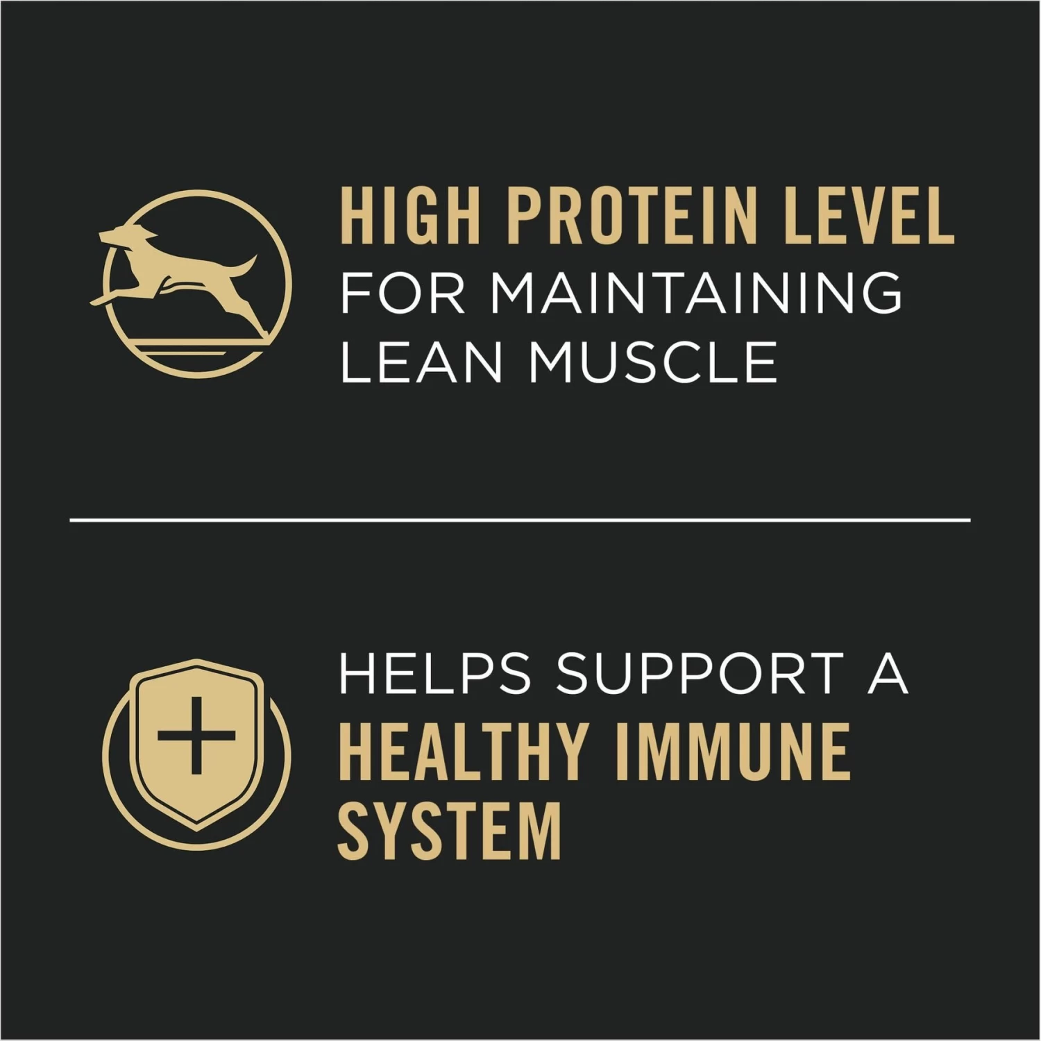 Purina Pro Plan Complete Essentials Variety Pack Adult High Protein Lamb & Vegetables, Turkey & Vegetables Slices In Gravy Wet Dog Food, 13-oz Can, Case Of 12 - Image 4