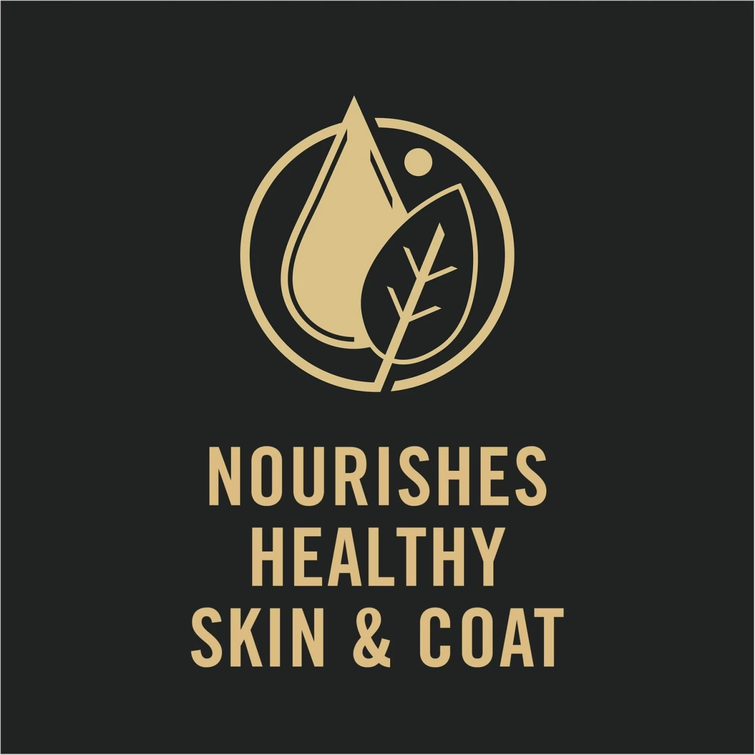 Purina Pro Plan Complete Essentials Variety Pack Adult High Protein Lamb & Vegetables, Turkey & Vegetables Slices In Gravy Wet Dog Food, 13-oz Can, Case Of 12 - Image 7