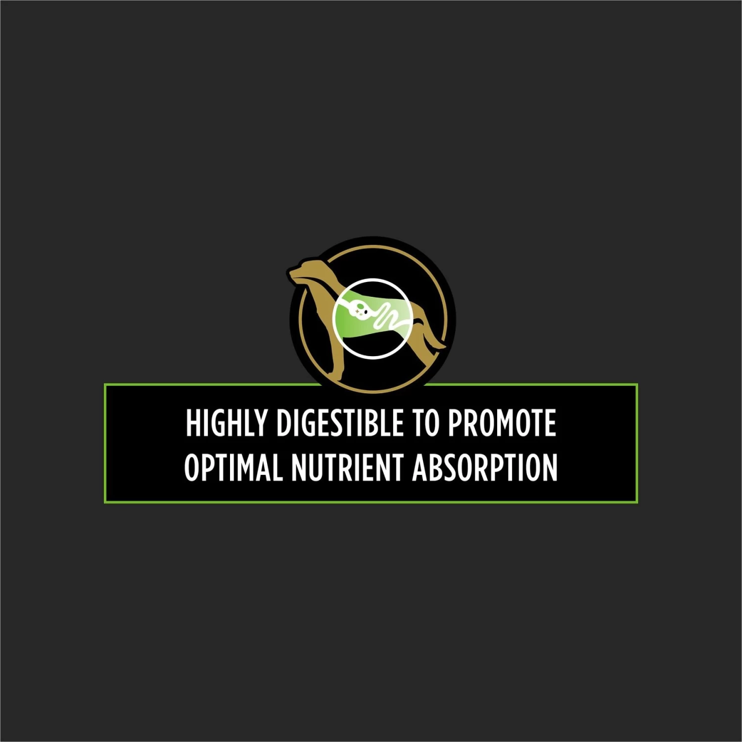 Purina Pro Plan Veterinary Diets HA Hydrolyzed Vegetarian Dry Dog Food - Image 6