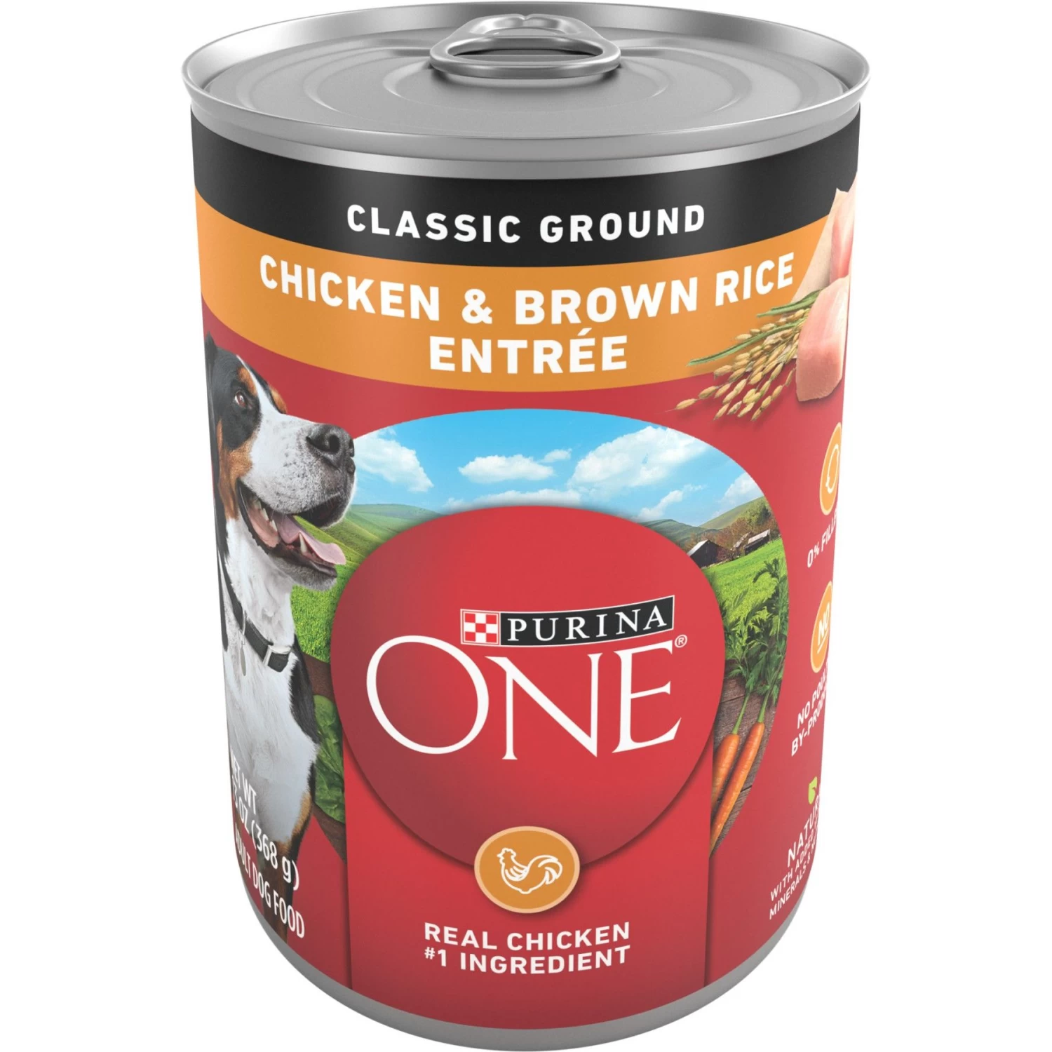 Purina ONE SmartBlend Classic Ground Chicken & Brown Rice Entree Adult Canned Dog Food