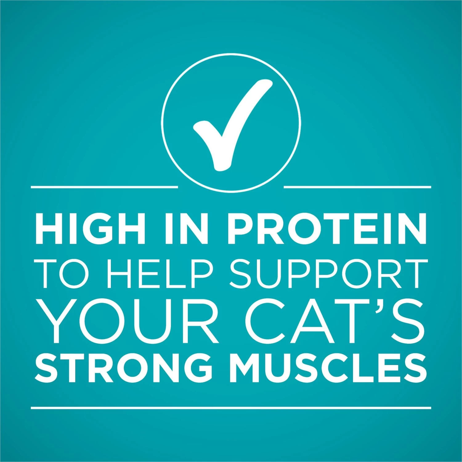 Purina ONE True Instinct Salmon & Trout Recipe In Sauce Natural High Protein Canned Cat Food - Image 6