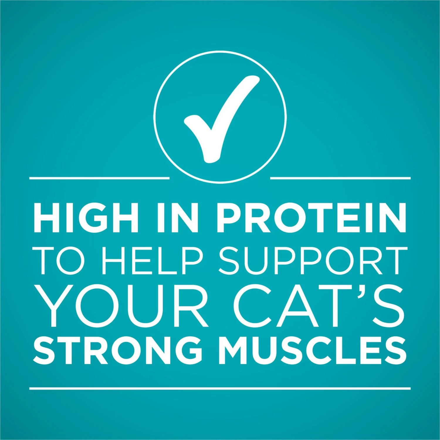 Purina ONE True Instinct Chicken Recipe In Gravy Natural High Protein Canned Cat Food, 3-oz, Case Of 24 - Image 6