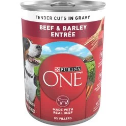 Purina ONE SmartBlend Tender Cuts In Gravy Beef & Barley Entree Adult Canned Dog Food