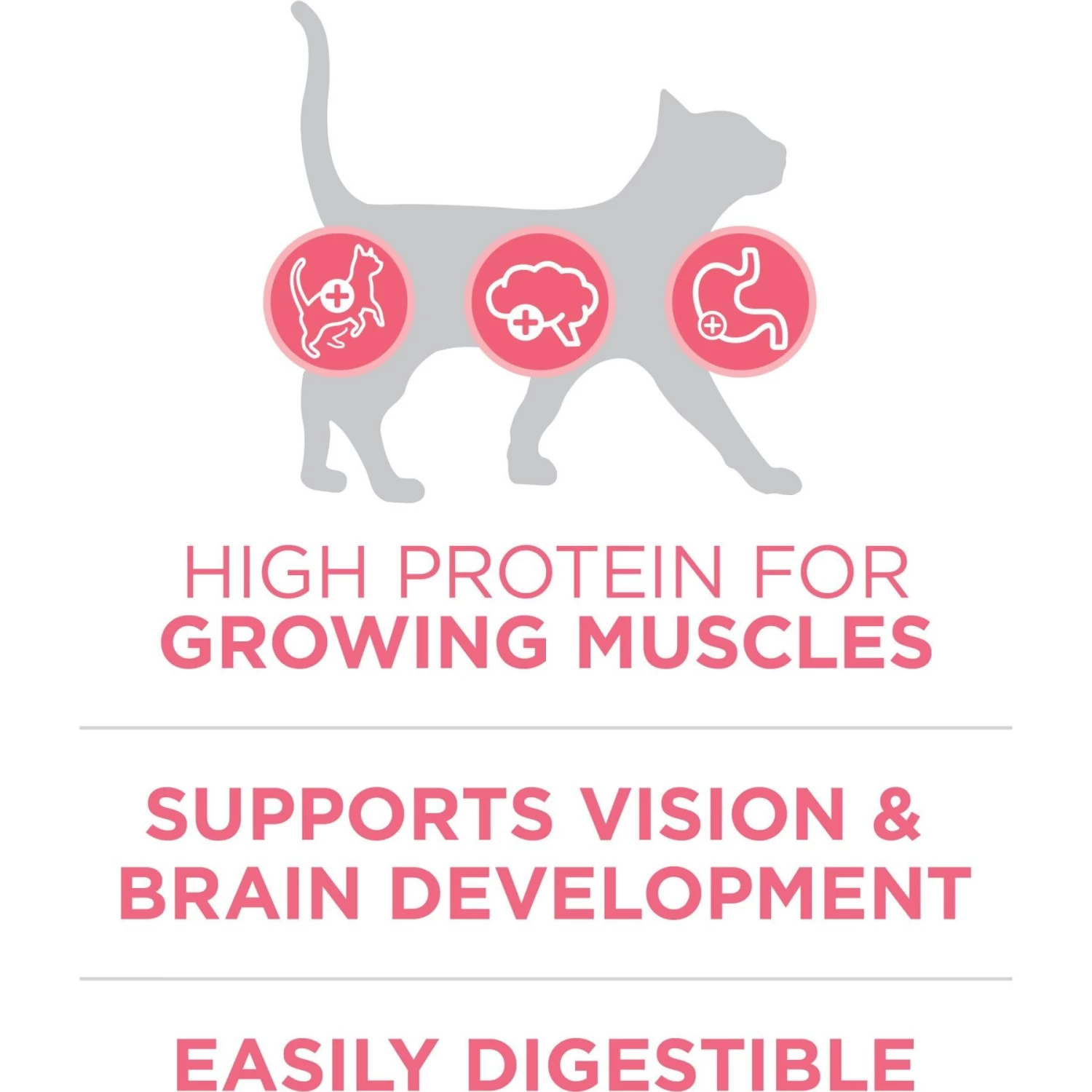 Purina ONE +Plus Healthy Kitten Formula Natural Dry Cat Food - Image 4