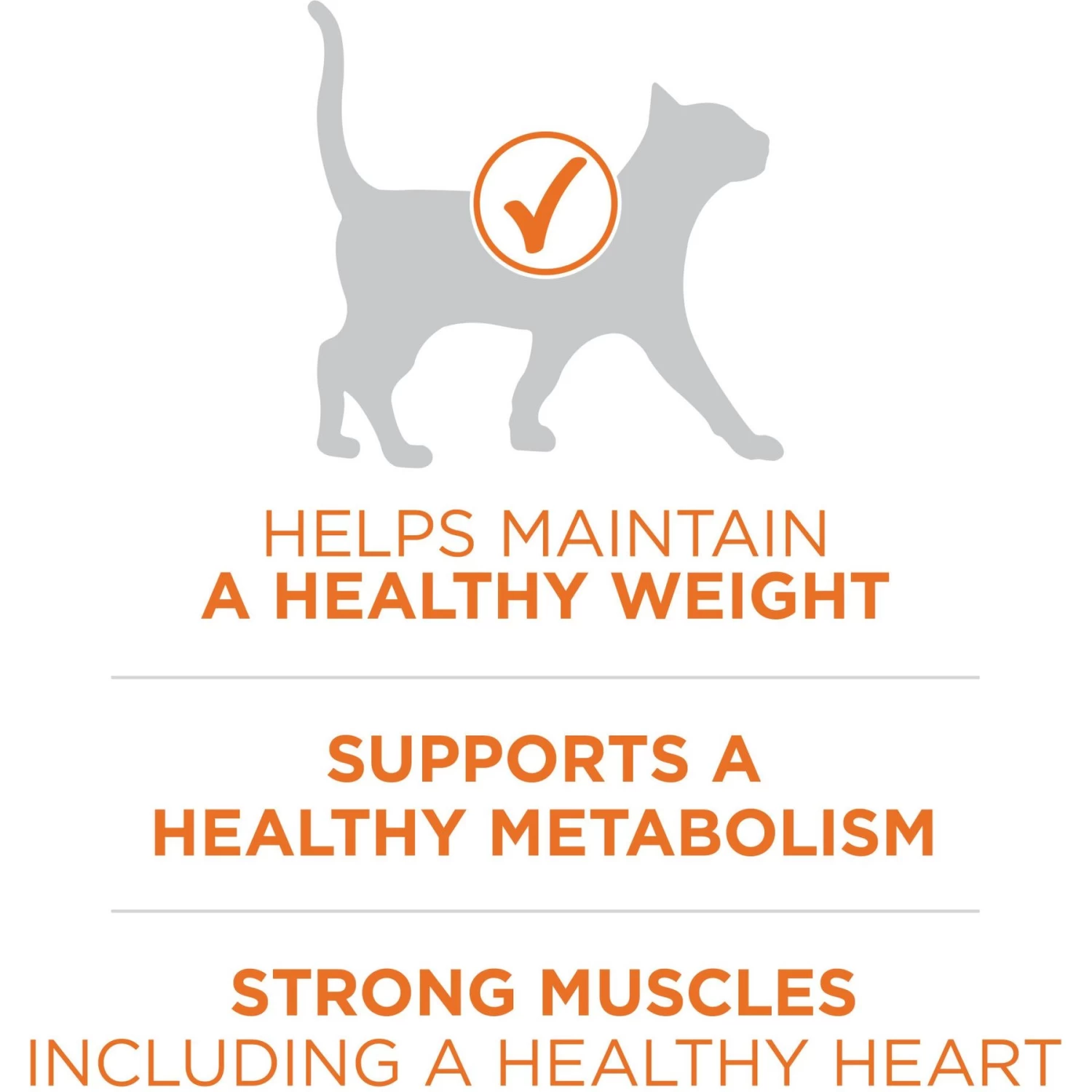 Purina ONE +Plus Ideal Weight Natural High Protein Adult Dry Cat Food - Image 4