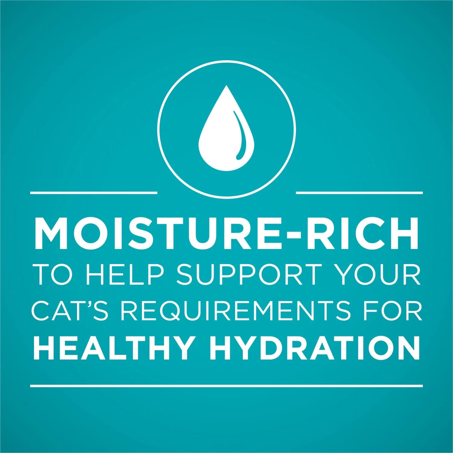 Purina ONE Natural Weight Control Ideal Weight White Meat Chicken Recipe In Sauce Wet Cat Food - Image 3