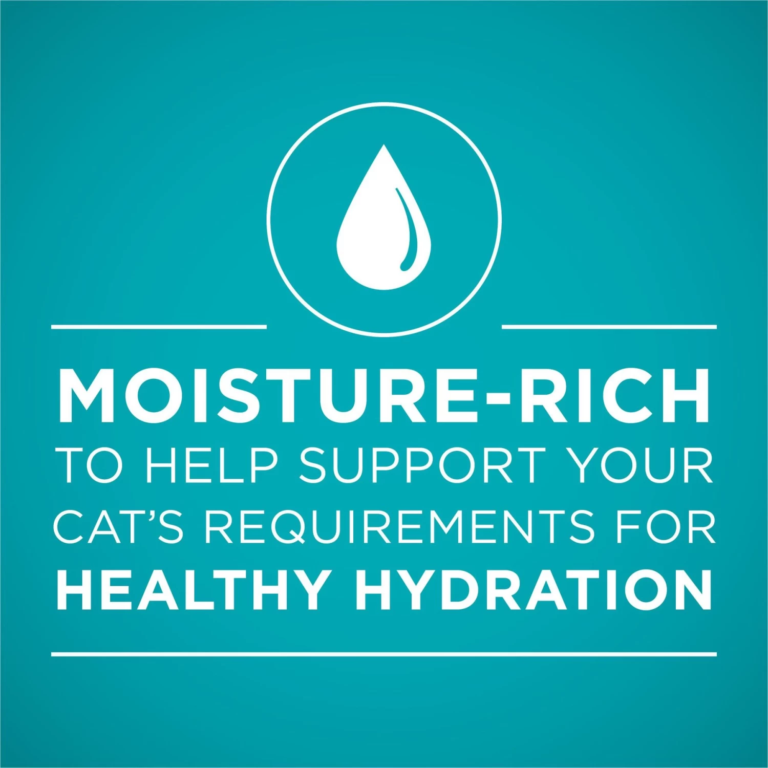 Purina ONE Natural High Protein True Instinct Chicken & Salmon Recipe In Sauce Canned Cat Food - Image 3