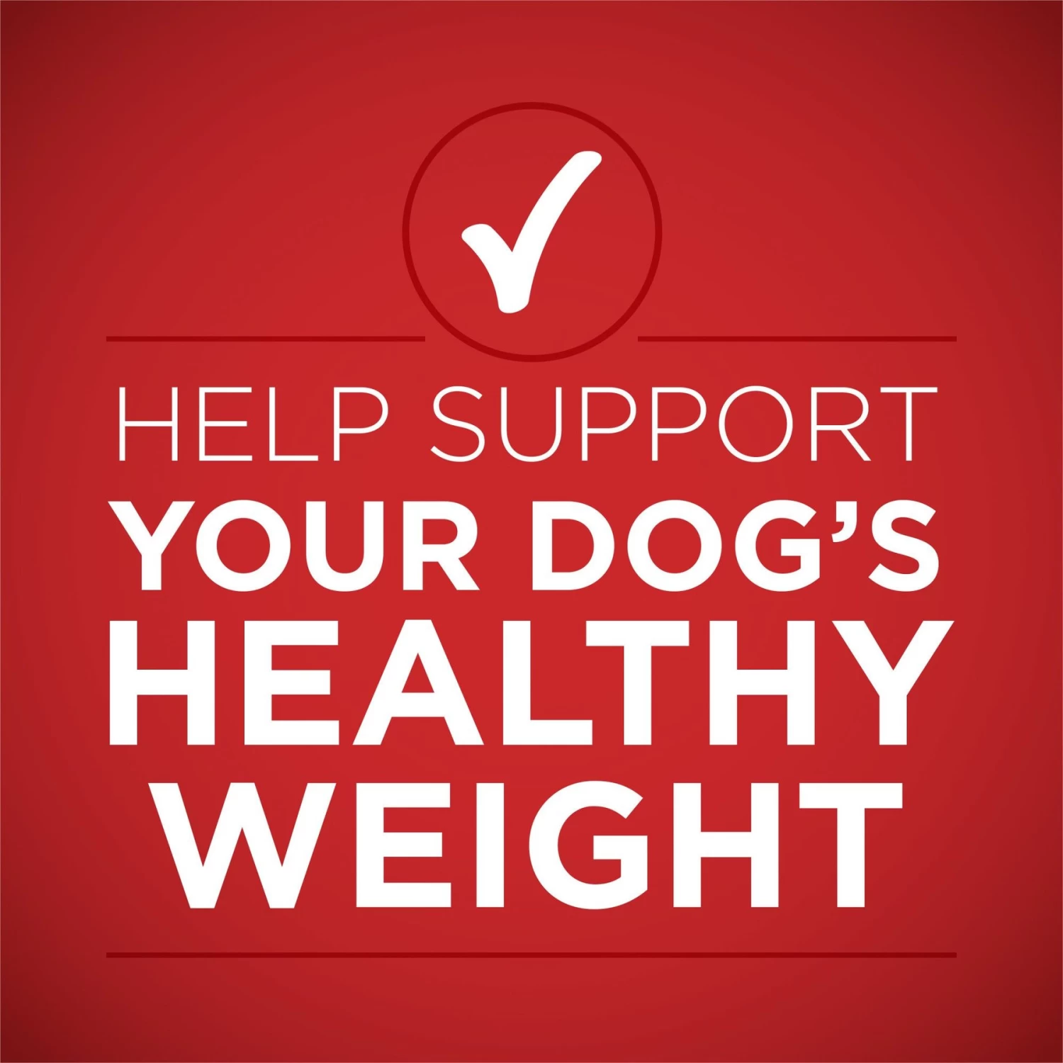 Purina ONE +Plus Adult Tender Cuts In Gravy Healthy Weight Lamb & Brown Rice Entree Canned Dog Food - Image 3