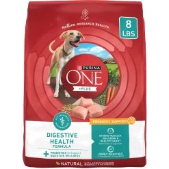 Purina ONE Plus Digestive Health Formula Dry Dog Food, 8-lb Bag