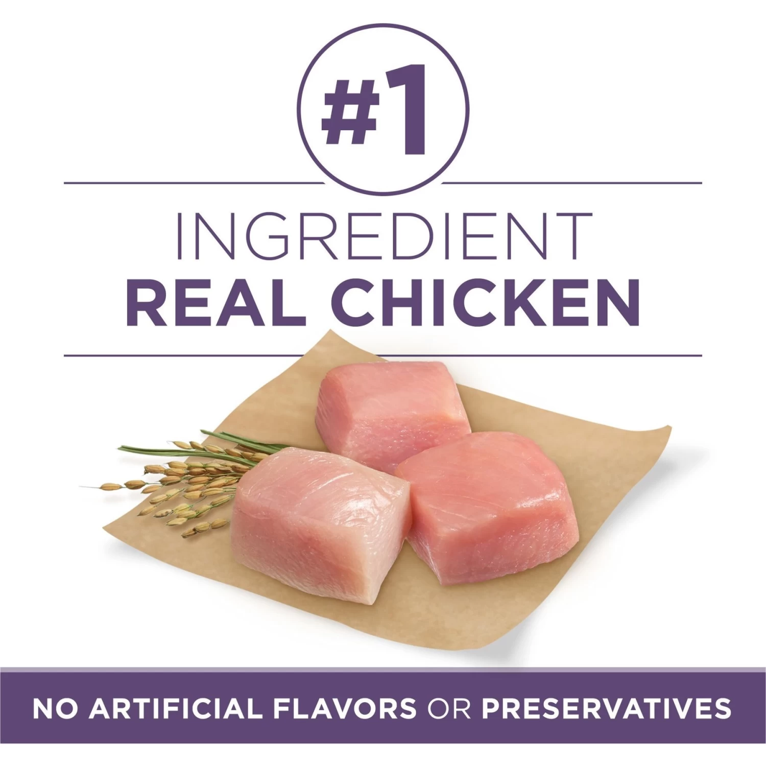 Purina ONE High Protein + Vibrant Maturity 7 Plus Formula Dry Senior Dog Food - Image 3