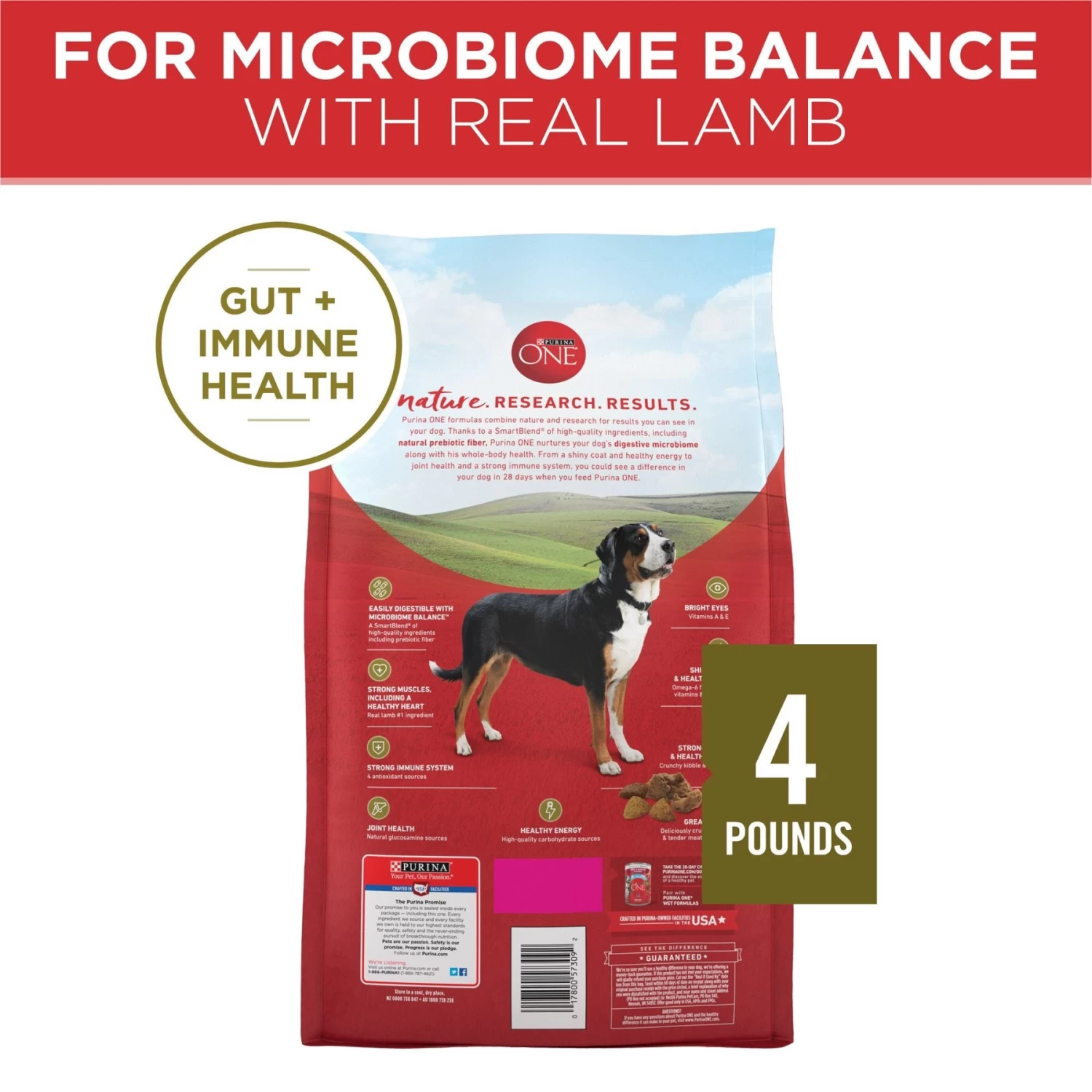 Purina ONE Lamb & Rice Formula Dry Dog Food - Image 2
