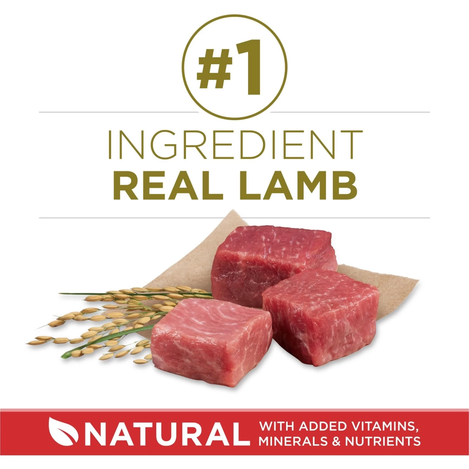 Purina ONE Lamb & Rice Formula Dry Dog Food - Image 3