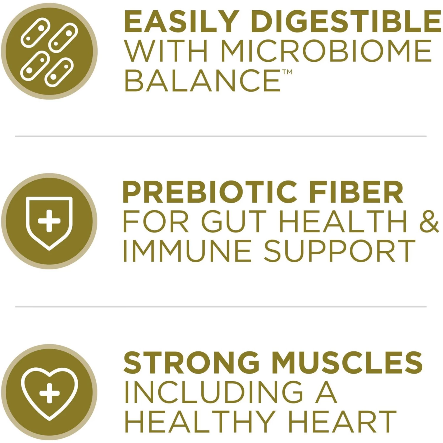 Purina ONE Lamb & Rice Formula Dry Dog Food - Image 4