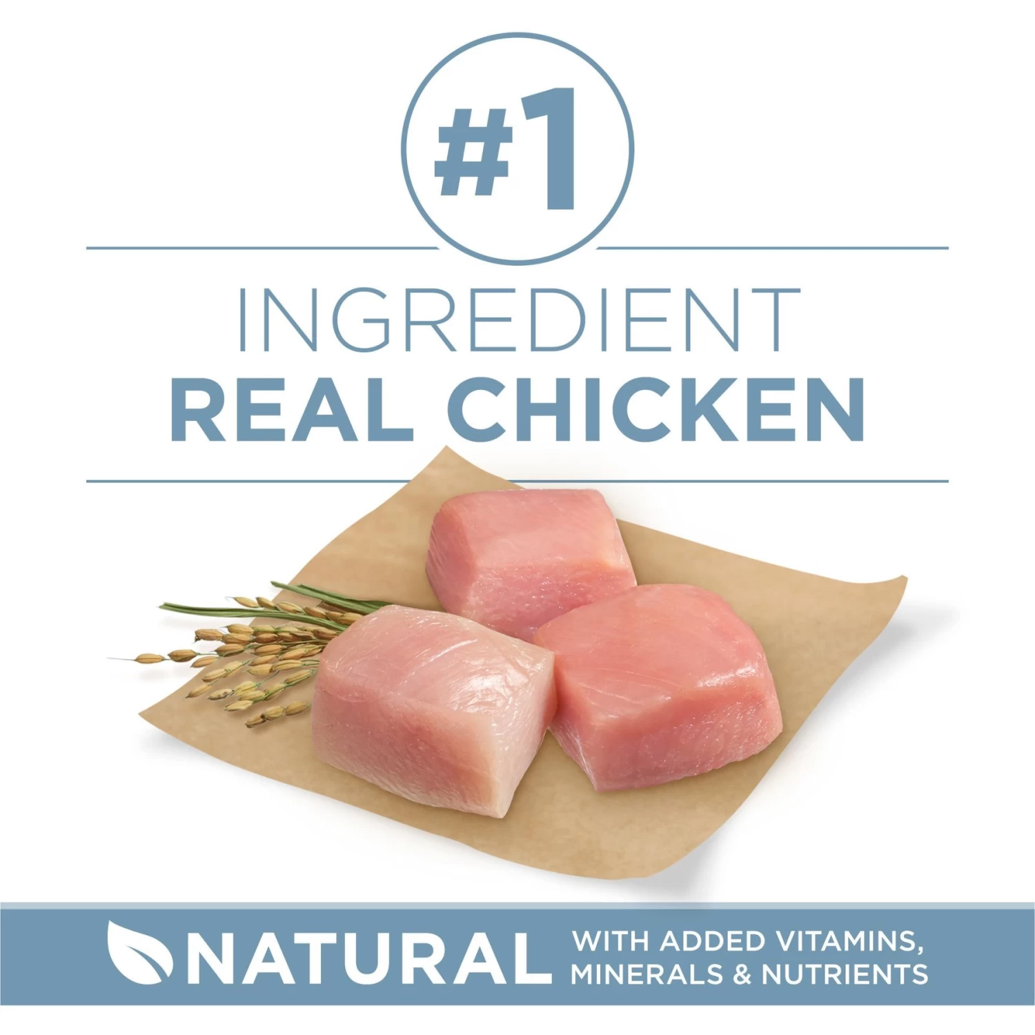 Purina ONE Plus Joint Health Formula Natural With Added Vitamins, Minerals & Nutrients Dry Dog Food, 8-lb Bag - Image 3