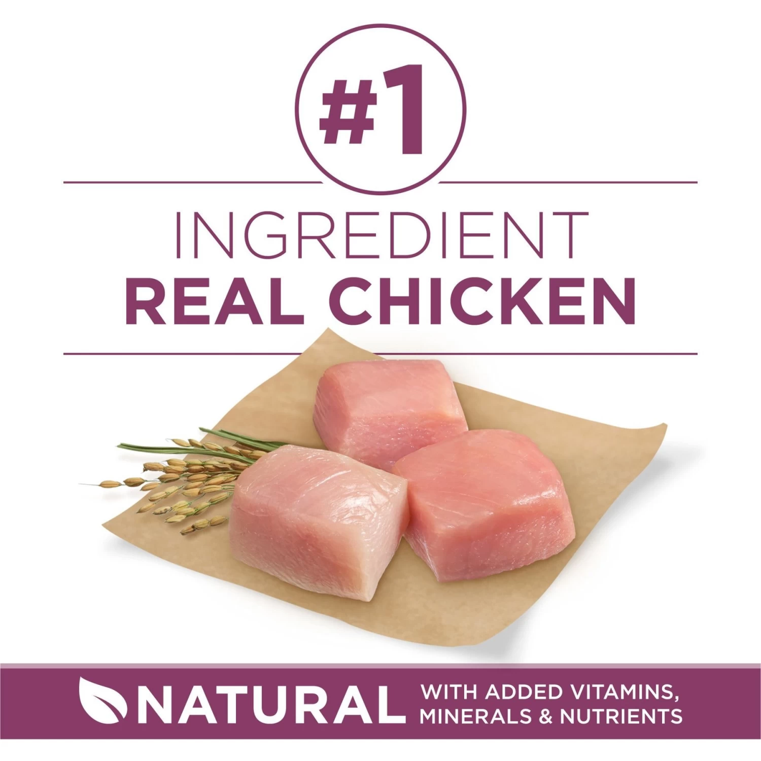 Purina ONE +Plus Natural High Protein Healthy Puppy Formula Dry Puppy Food - Image 4