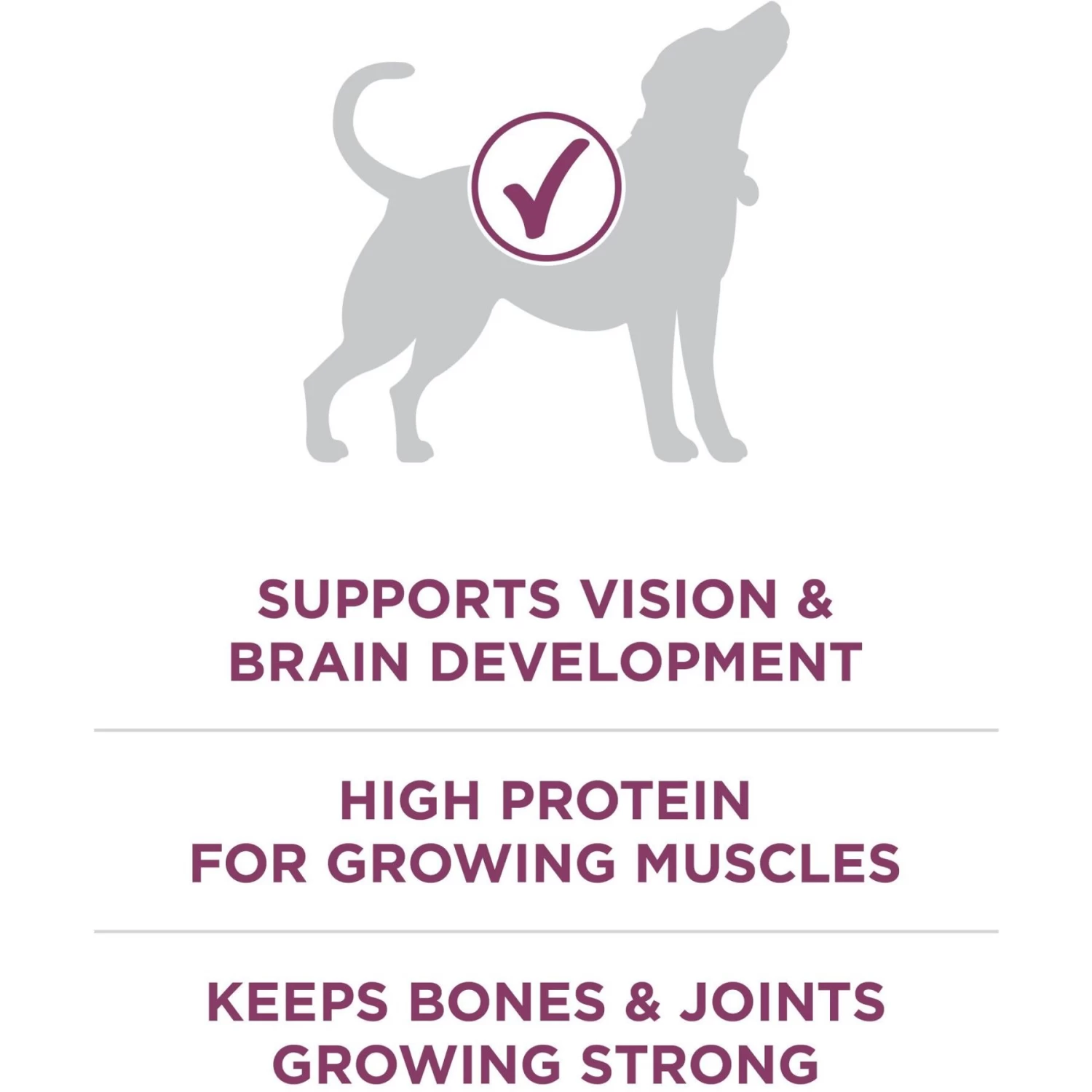 Purina ONE +Plus Natural High Protein Healthy Puppy Formula Dry Puppy Food - Image 5